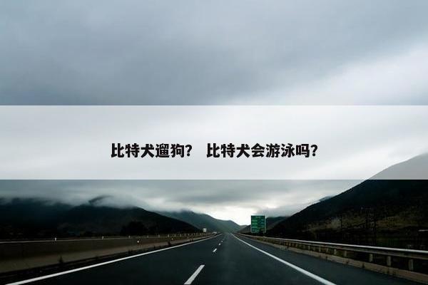比特犬遛狗？ 比特犬会游泳吗？