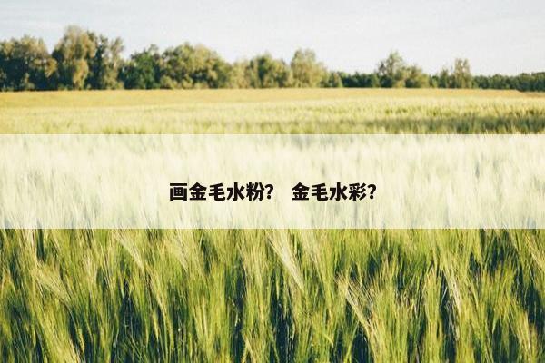 画金毛水粉？ 金毛水彩？