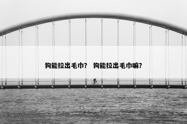 狗能拉出毛巾？ 狗能拉出毛巾嘛？