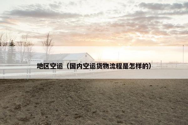 地区空运（国内空运货物流程是怎样的）