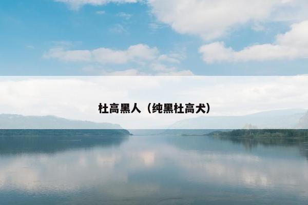 杜高黑人（纯黑杜高犬）