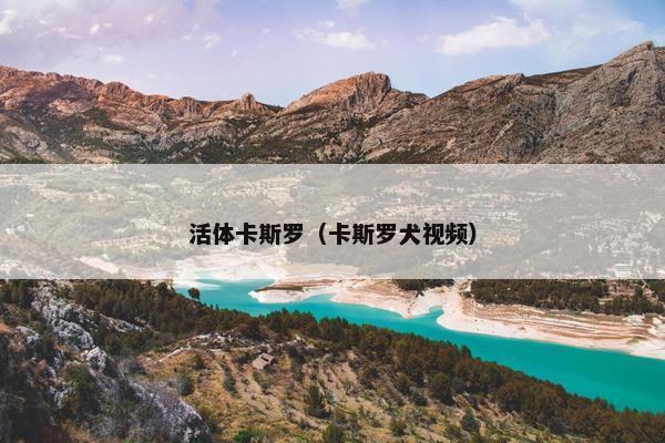 活体卡斯罗（卡斯罗犬视频）