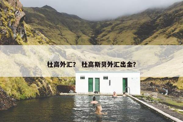 杜高外汇？ 杜高斯贝外汇出金？