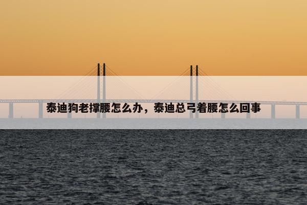 泰迪狗老撑腰怎么办，泰迪总弓着腰怎么回事