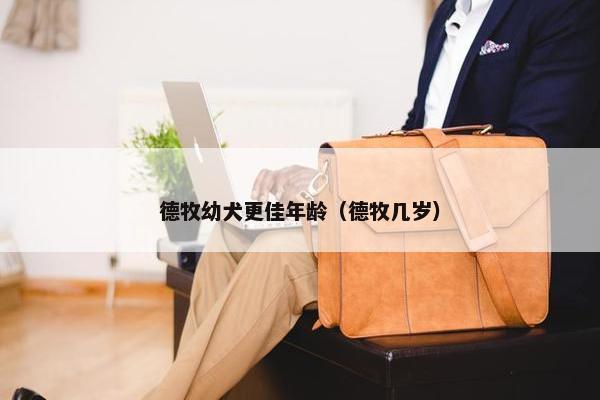 德牧幼犬更佳年龄（德牧几岁）