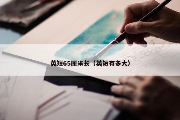 英短65厘米长（英短有多大）