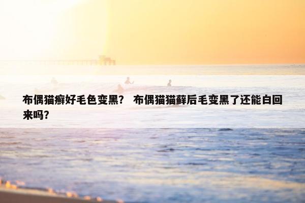 布偶猫癣好毛色变黑？ 布偶猫猫藓后毛变黑了还能白回来吗？
