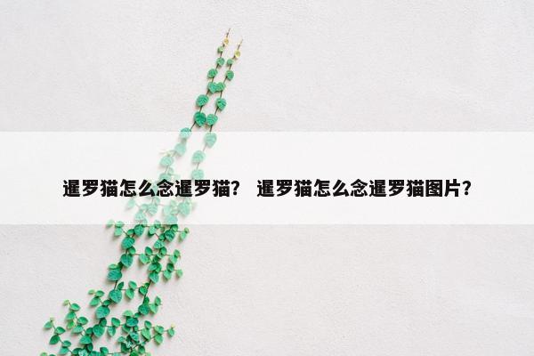 暹罗猫怎么念暹罗猫？ 暹罗猫怎么念暹罗猫图片？