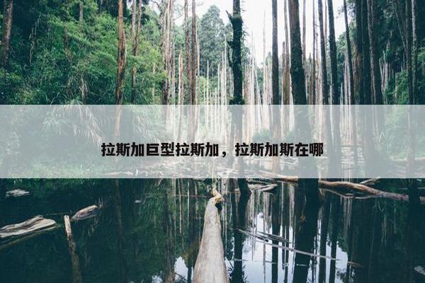 拉斯加巨型拉斯加，拉斯加斯在哪
