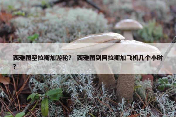 西雅图至拉斯加游轮？ 西雅图到阿拉斯加飞机几个小时？