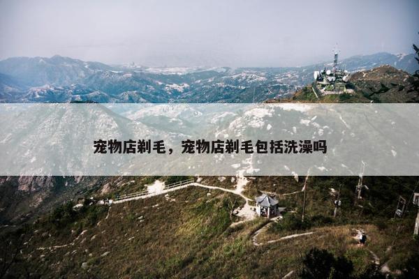 宠物店剃毛，宠物店剃毛包括洗澡吗