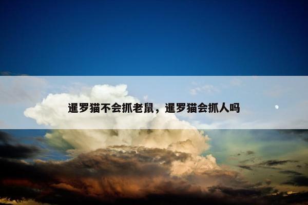暹罗猫不会抓老鼠，暹罗猫会抓人吗