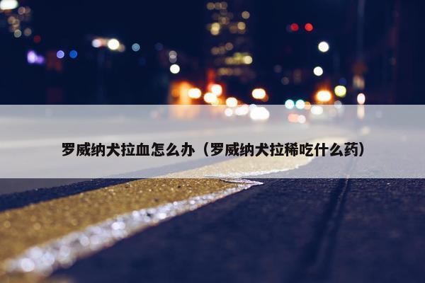 罗威纳犬拉血怎么办（罗威纳犬拉稀吃什么药）