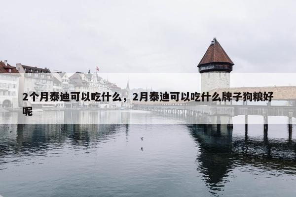 2个月泰迪可以吃什么，2月泰迪可以吃什么牌子狗粮好呢