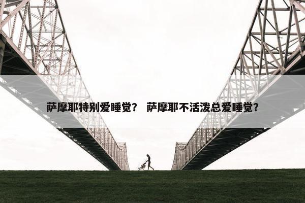 萨摩耶特别爱睡觉？ 萨摩耶不活泼总爱睡觉？