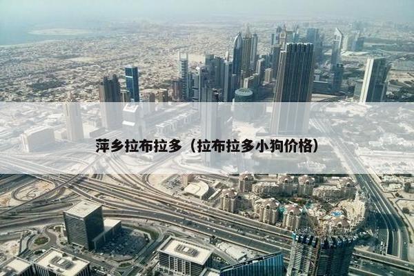萍乡拉布拉多（拉布拉多小狗价格）