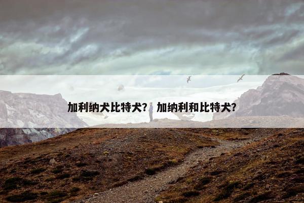 加利纳犬比特犬？ 加纳利和比特犬？