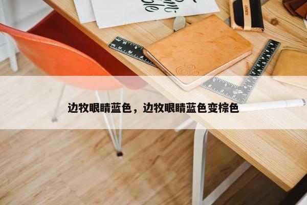 边牧眼睛蓝色，边牧眼睛蓝色变棕色