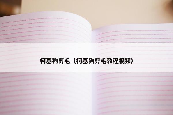 柯基狗剪毛（柯基狗剪毛教程视频）