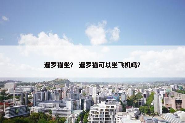 暹罗猫坐？ 暹罗猫可以坐飞机吗？