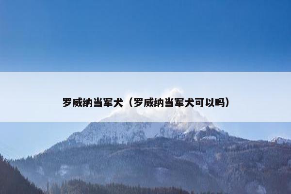 罗威纳当军犬（罗威纳当军犬可以吗）
