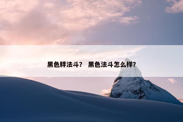 黑色胖法斗？ 黑色法斗怎么样？