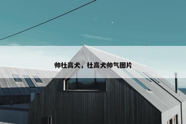 帅杜高犬，杜高犬帅气图片