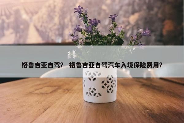格鲁吉亚自驾？ 格鲁吉亚自驾汽车入境保险费用？