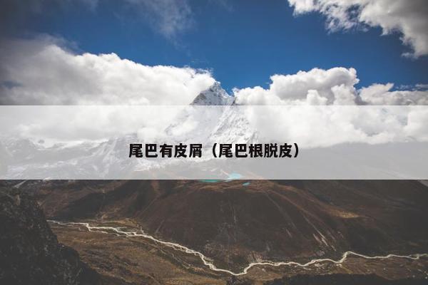 尾巴有皮屑（尾巴根脱皮）