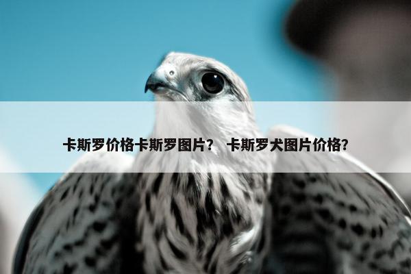 卡斯罗价格卡斯罗图片？ 卡斯罗犬图片价格？