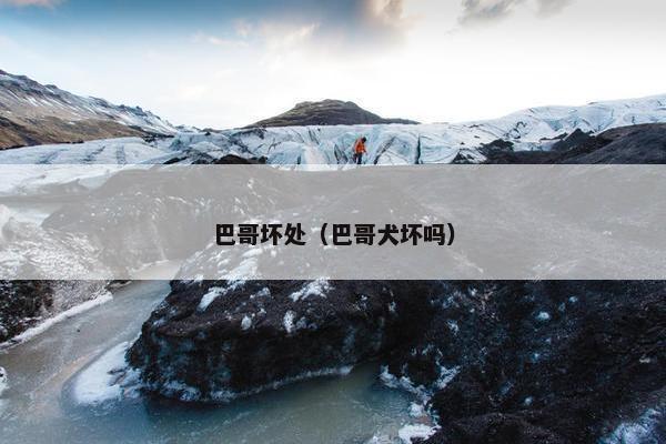 巴哥坏处（巴哥犬坏吗）