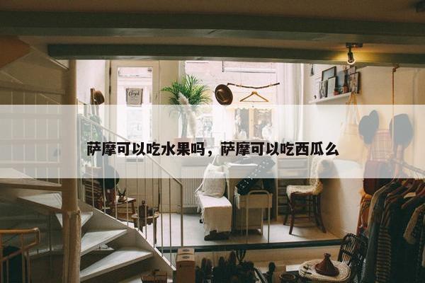 萨摩可以吃水果吗，萨摩可以吃西瓜么
