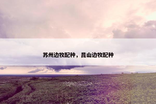 苏州边牧配种，昆山边牧配种