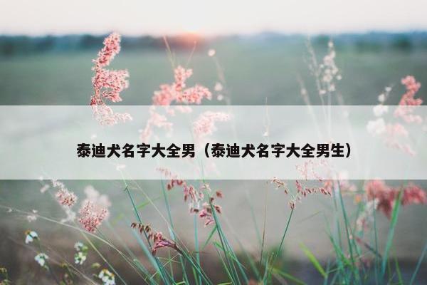 泰迪犬名字大全男（泰迪犬名字大全男生）