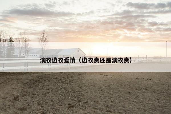 澳牧边牧爱情（边牧贵还是澳牧贵）