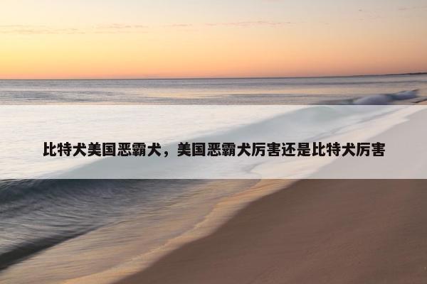 比特犬美国恶霸犬，美国恶霸犬厉害还是比特犬厉害