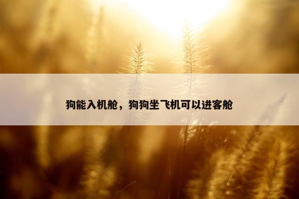 狗能入机舱，狗狗坐飞机可以进客舱