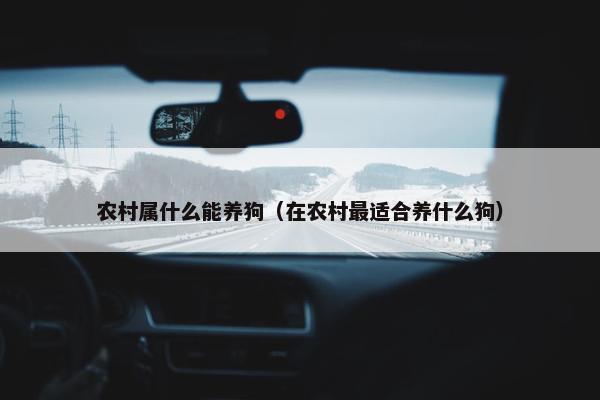 农村属什么能养狗（在农村最适合养什么狗）
