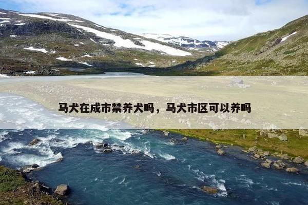 马犬在成市禁养犬吗，马犬市区可以养吗