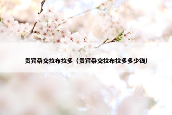 贵宾杂交拉布拉多（贵宾杂交拉布拉多多少钱）
