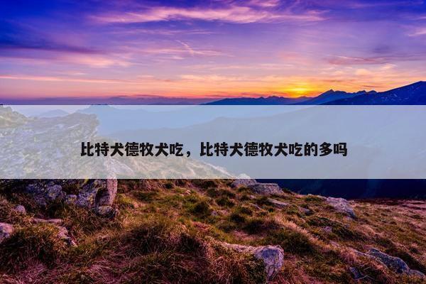 比特犬德牧犬吃，比特犬德牧犬吃的多吗