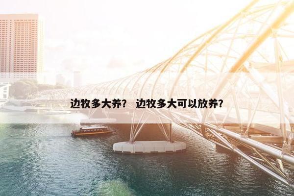 边牧多大养？ 边牧多大可以放养？