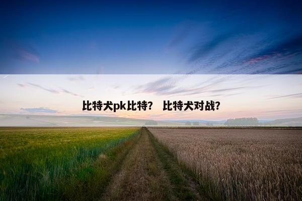 比特犬pk比特？ 比特犬对战？