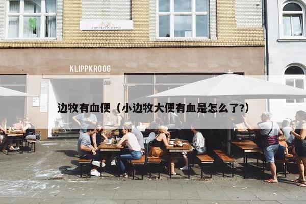 边牧有血便（小边牧大便有血是怎么了?）
