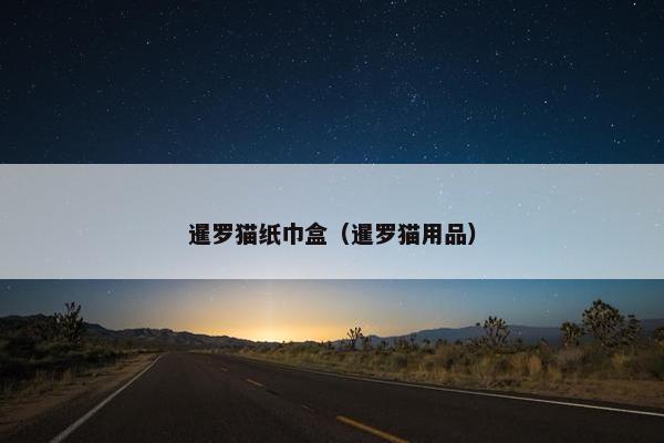暹罗猫纸巾盒（暹罗猫用品）