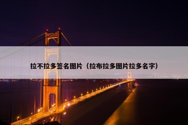 拉不拉多签名图片（拉布拉多图片拉多名字）