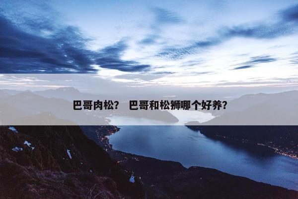 巴哥肉松？ 巴哥和松狮哪个好养？