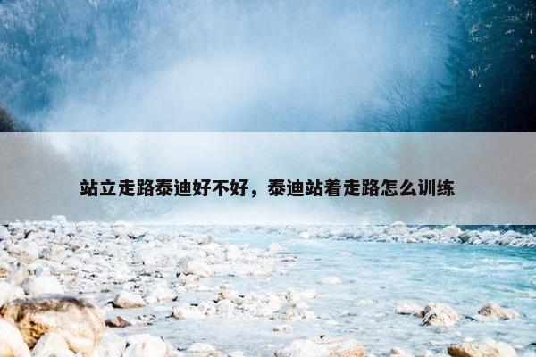 站立走路泰迪好不好，泰迪站着走路怎么训练