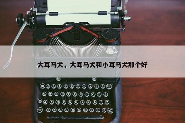大耳马犬，大耳马犬和小耳马犬那个好