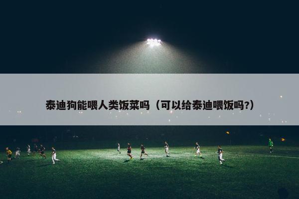 泰迪狗能喂人类饭菜吗（可以给泰迪喂饭吗?）